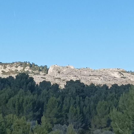 Chambre D'Hote Au Coeur Des Alpilles Mouries Luaran gambar