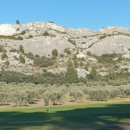 Chambre D'Hote Au Coeur Des Alpilles Mouries Luaran gambar