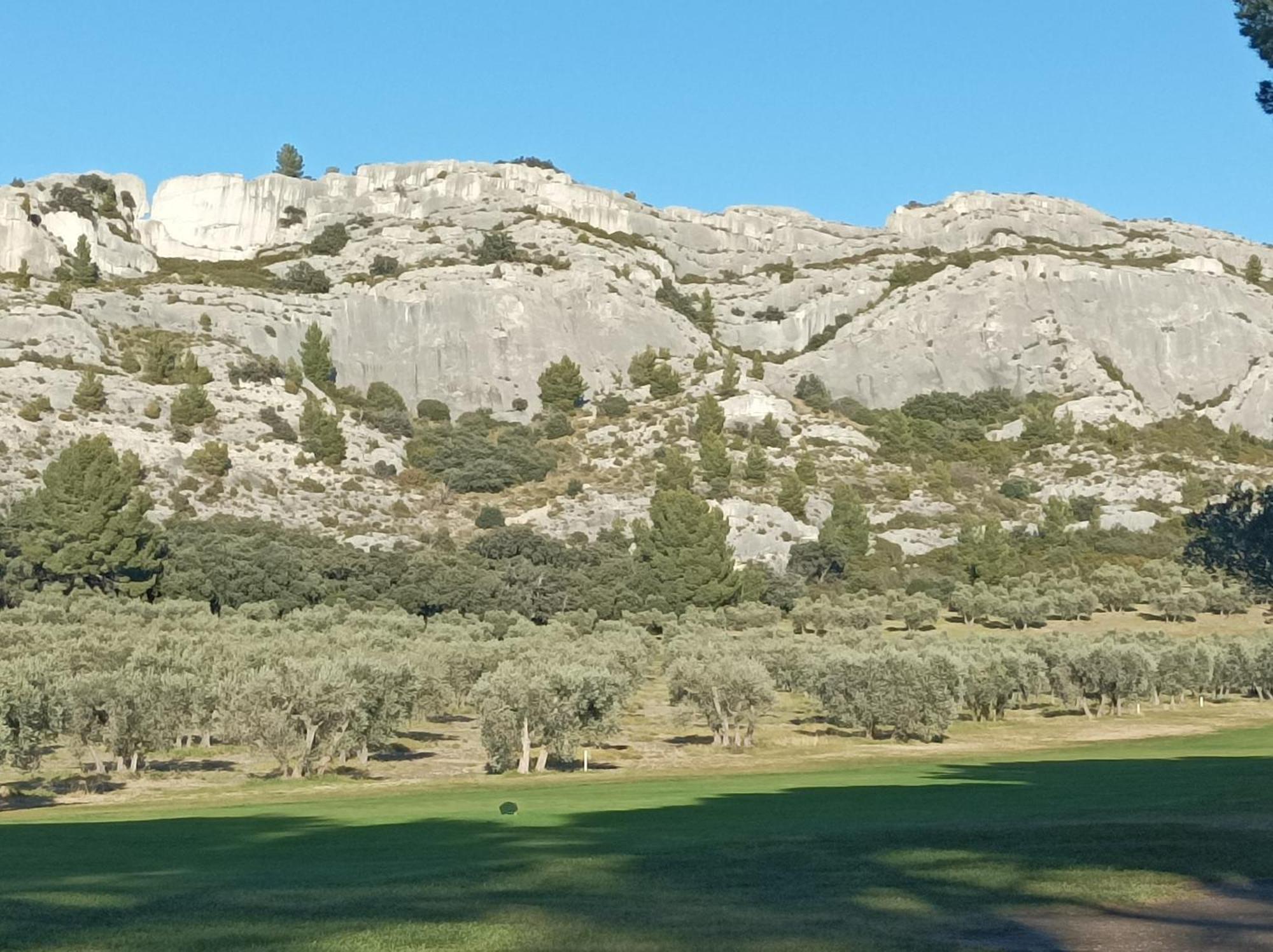 Chambre D'Hote Au Coeur Des Alpilles Mouries Luaran gambar